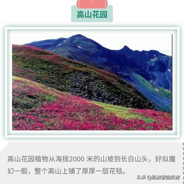 2019长白山最新旅游攻略