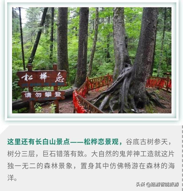 2019长白山最新旅游攻略