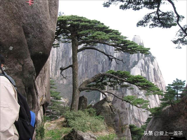 旅游不知道哪好玩？这些景区游客回头率最高，五一旅游就去这吧！