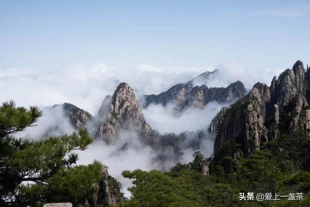 旅游不知道哪好玩？这些景区游客回头率最高，五一旅游就去这吧！