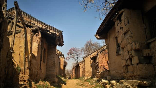 旅游 | 水云间带你走长安--长安唐村•中国农业公园