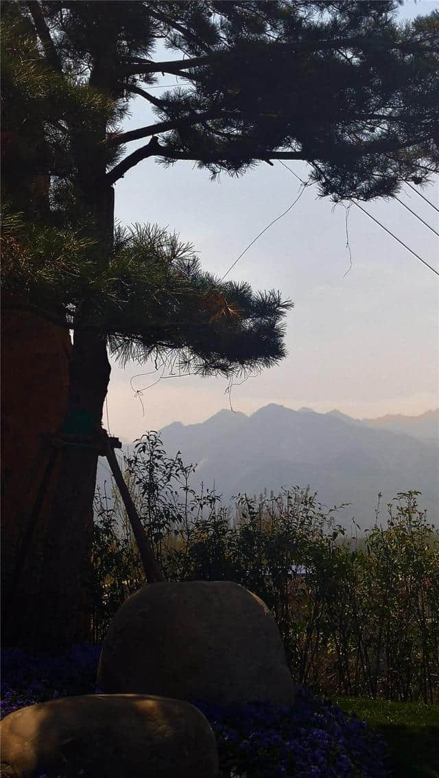 旅游 | 水云间带你走长安--长安唐村•中国农业公园