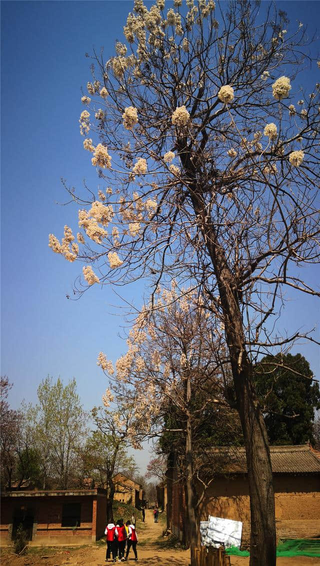 旅游 | 水云间带你走长安--长安唐村•中国农业公园