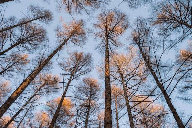 长春除了冰雪还有什么好玩的？4天3晚玩转长春那些不可错过的景点