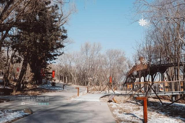 长春除了冰雪还有什么好玩的？4天3晚玩转长春那些不可错过的景点