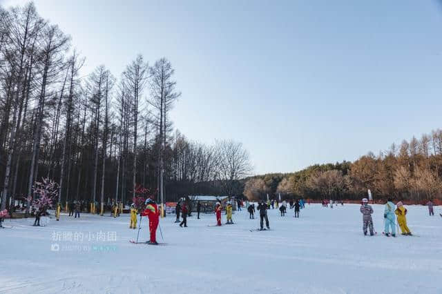 长春除了冰雪还有什么好玩的？4天3晚玩转长春那些不可错过的景点