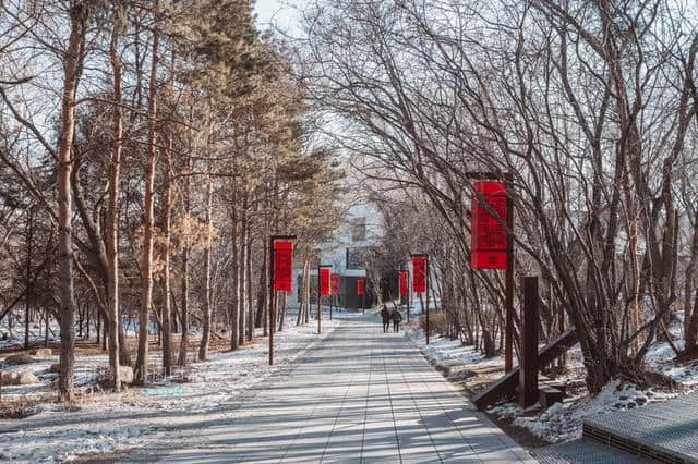 长春除了冰雪还有什么好玩的？4天3晚玩转长春那些不可错过的景点