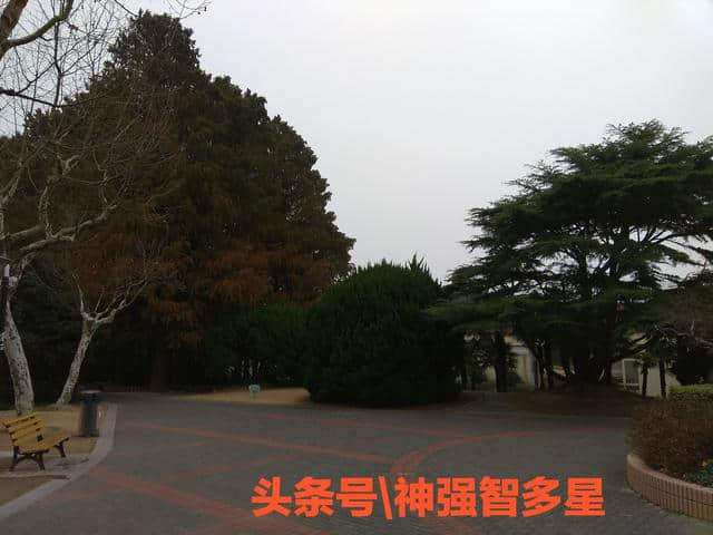 足不出户带你游览上海金山滨海公园，小桥流水，美景尽收眼底