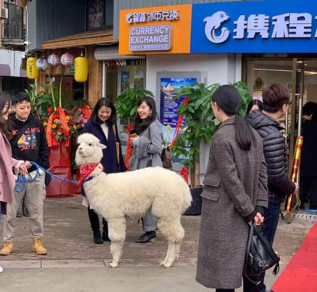 上海旅游一条街再现“门店大战”！传统旅行社或面临新一轮冲击！