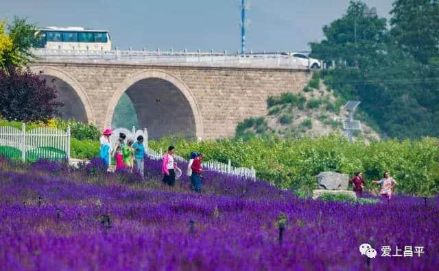 送您一份昌平2018最佳旅游日历！