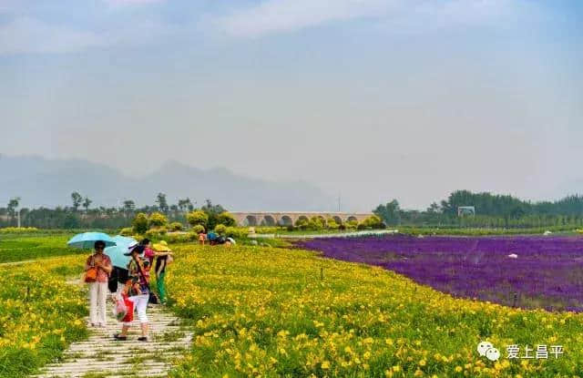 送您一份昌平2018最佳旅游日历！