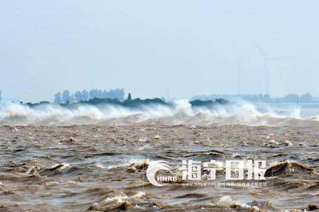 期待！海宁黄湾要打造成这样的“潮缘旅游风情小镇”