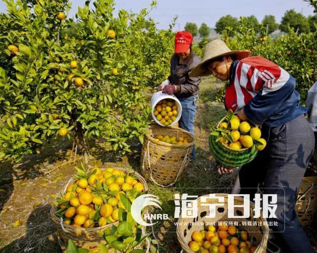 期待！海宁黄湾要打造成这样的“潮缘旅游风情小镇”