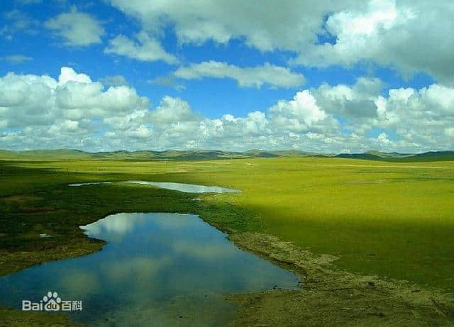 旅游，要比生活更有意义——中国六大最美草原，此生定要去一遍