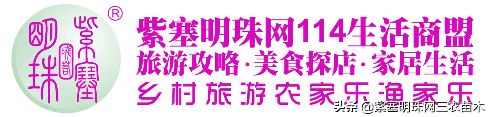 去长岛不知道有哪些神玩法？到乐涛渔家才是长岛正确的打开方式！