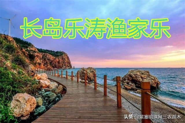 去长岛不知道有哪些神玩法？到乐涛渔家才是长岛正确的打开方式！