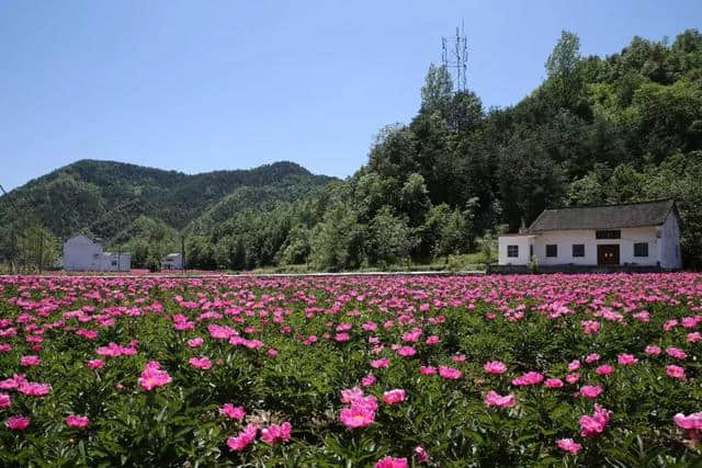 美丽乡村特色小镇成商洛端午假期旅游热点