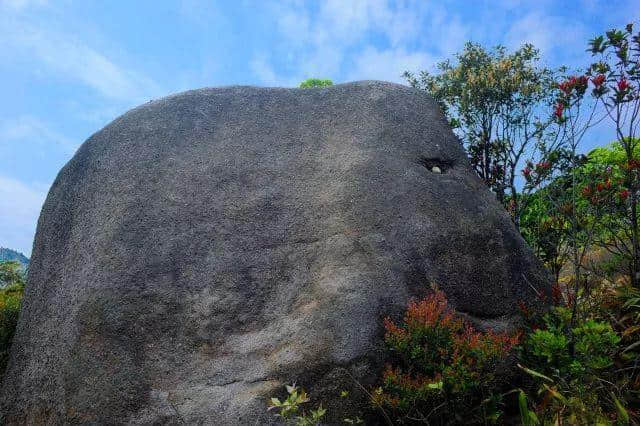 “博罗新八景”候选景点展示（三），山水美城全都有