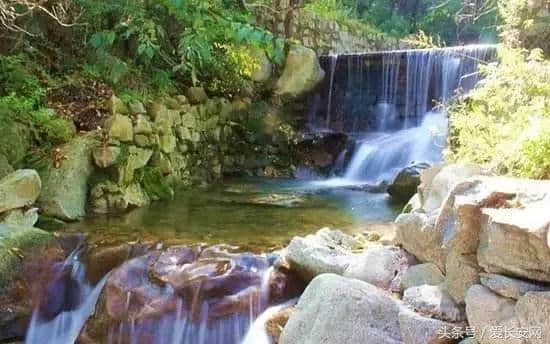 长安旅游：又一封辞职信火了！我要去长安看风景……