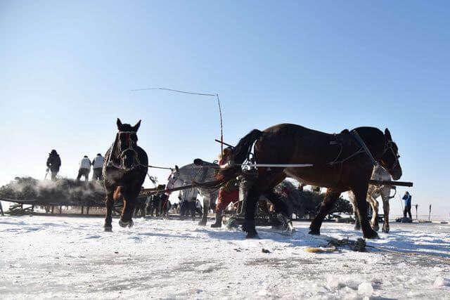 查干湖冰雪渔猎文化旅游节盛大开幕，这阵势，你肯定没见过！