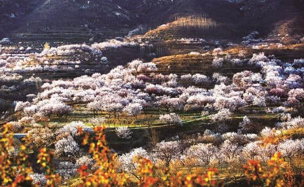 以啤酒为媒 青岛西海岸旅游邀上海市民到海滨狂欢