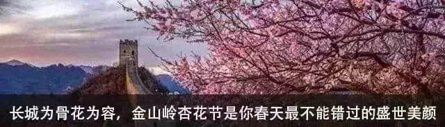 如果不打开这篇文章，你永远不会知道沧州居然可以这么好玩 | 漫游冀（12）