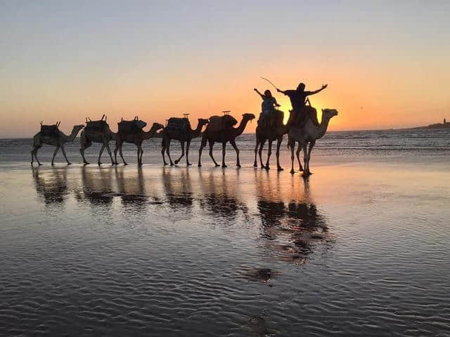 2018年十大旅游目的地