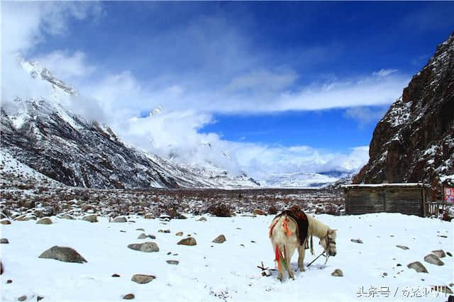 2016西藏昌都旅游推介会首站走进成都