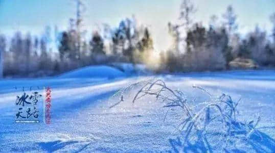 今日小雪！寒潮正在疯狂赶来的日子里，最忘不了奉贤海湾的这三道顶级美味……