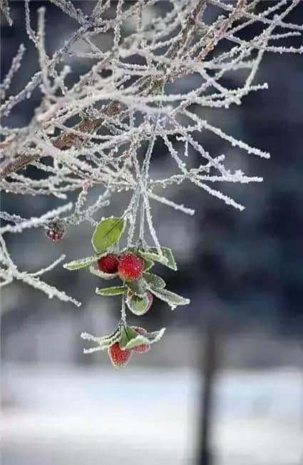 今日小雪！寒潮正在疯狂赶来的日子里，最忘不了奉贤海湾的这三道顶级美味……