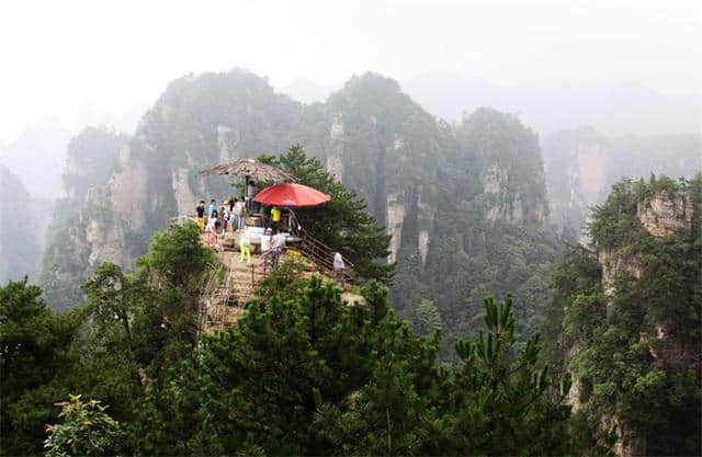 上海南—张家界旅游回来有感 行程规划及费用预算