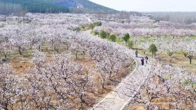 荣登省榜，徐州这个旅游度假区排名徐州第一！