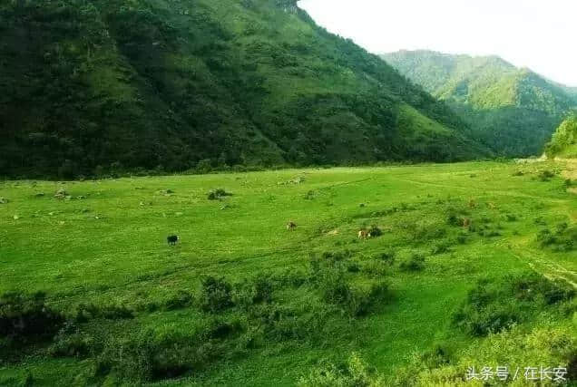 避暑+旅游，长安这些地方藏着25°的夏天，还不赶快来！