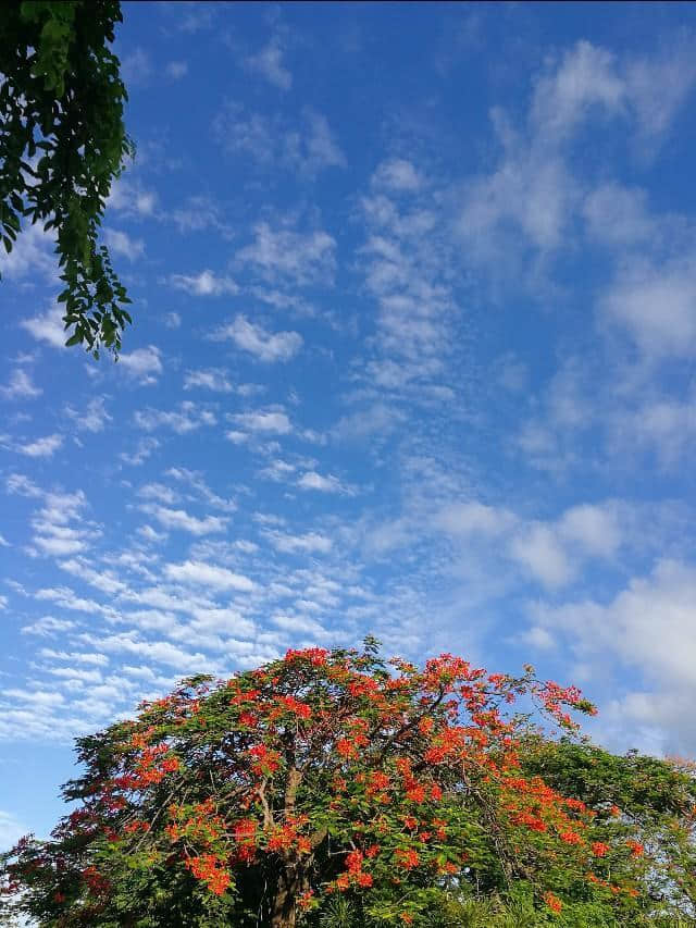 到海南旅游，不可错过的景点：天涯海角游览区