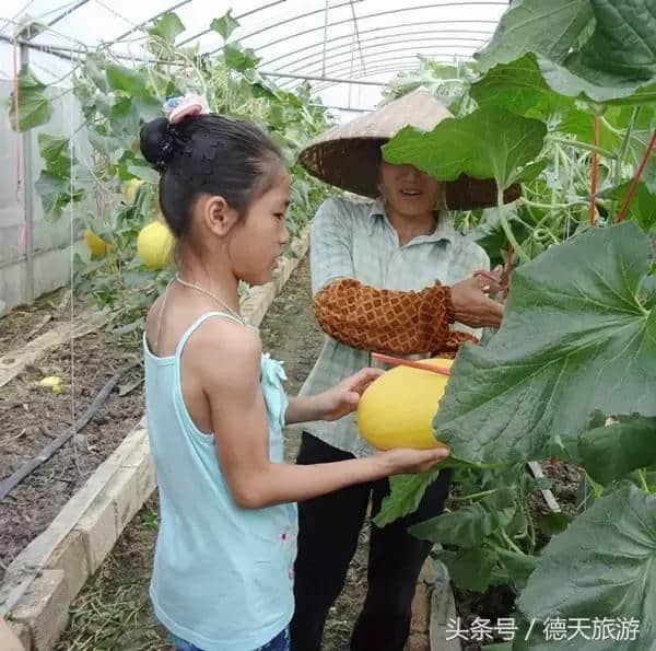 原来兴宁区就藏着这么多好玩的农家乐，周末再也不用愁去哪啦！