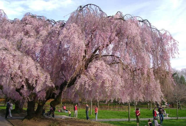 细数赚大钱公司的特质，对旅游休闲景区规划和建设的启示