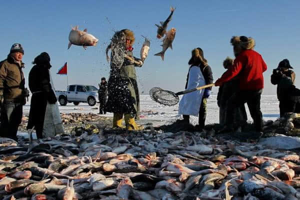 东北查干湖鱼越来越多，当地人为何担忧？导游做出解释