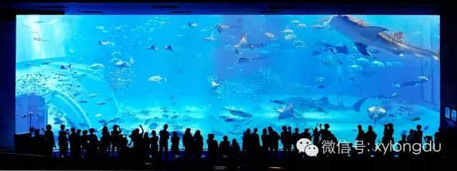 龙都--信阳首家海洋馆开创信阳旅游新景点