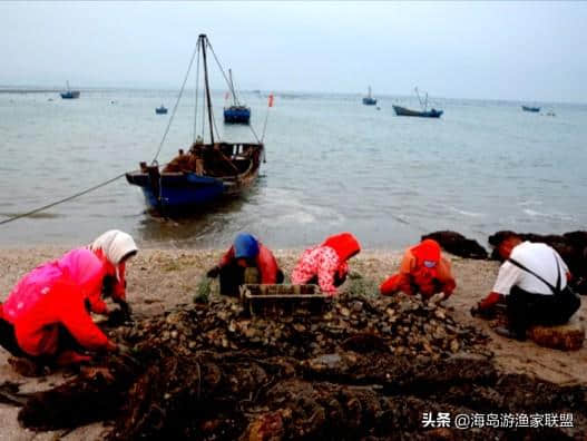 暑假带孩子去哪玩_大连长海县格仙岛二日游(美食+交通+住宿)