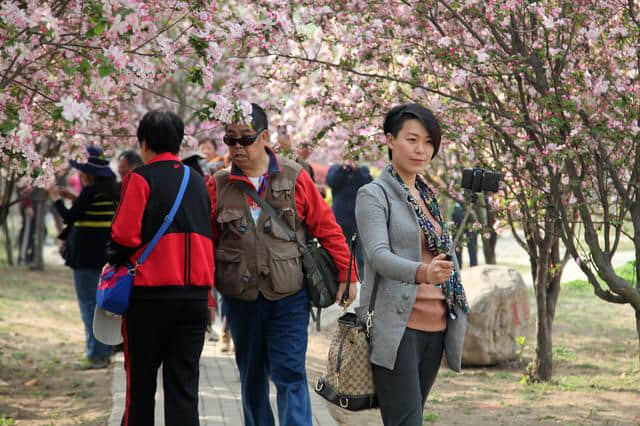 商丘旅游“十三五”开局之年,喜迎首趟北京旅游专列。