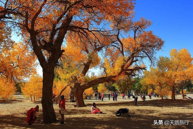 世界最美草原，到内蒙古旅游去哪玩，这8个旅游景点驴友强烈推荐