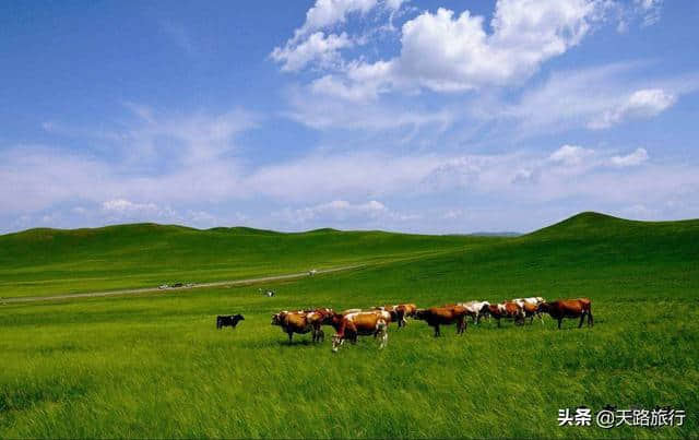 世界最美草原，到内蒙古旅游去哪玩，这8个旅游景点驴友强烈推荐