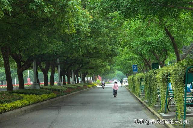 超详细旅游攻略篇--上海