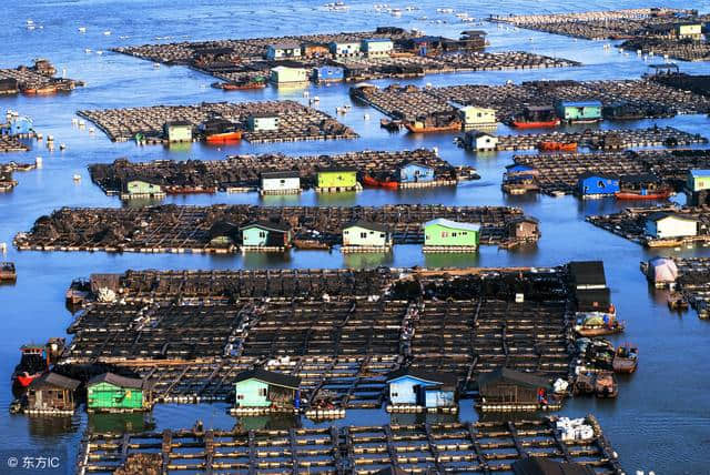 全国唯一漂在海上的城市，2万人生活在此，藏着无数绝美风景！