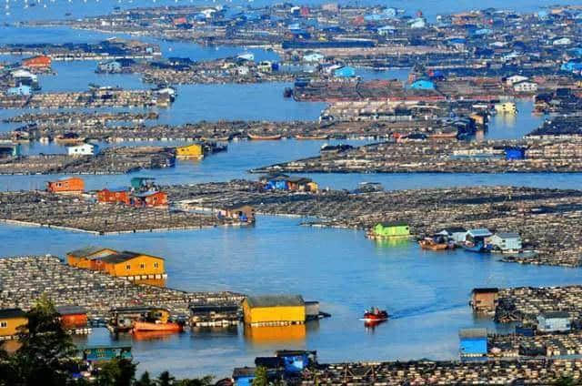 全国唯一漂在海上的城市，2万人生活在此，藏着无数绝美风景！