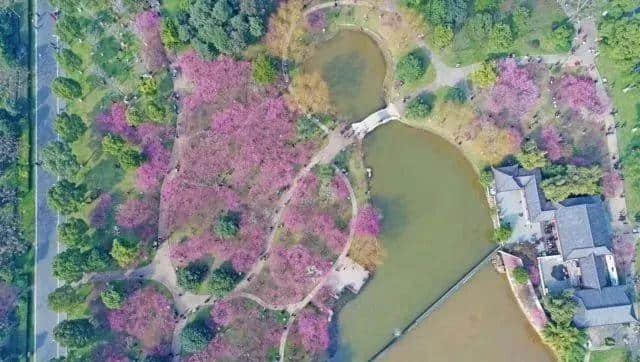 收藏 ! 长沙赏花地图在手，你还怕没地方游玩吗？