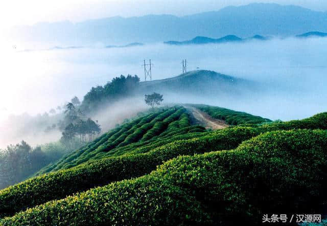 汉中最新最全精品旅游路线，你去过几个？