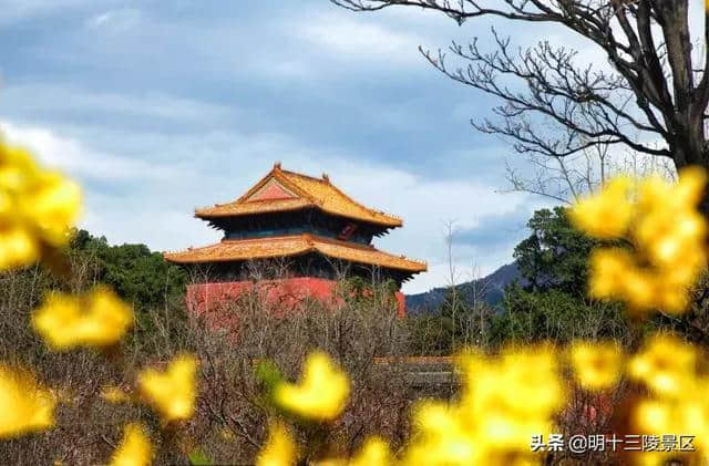 别只顾刷抖音了！当博物馆日遇上旅游日～十三陵又要上热搜了！