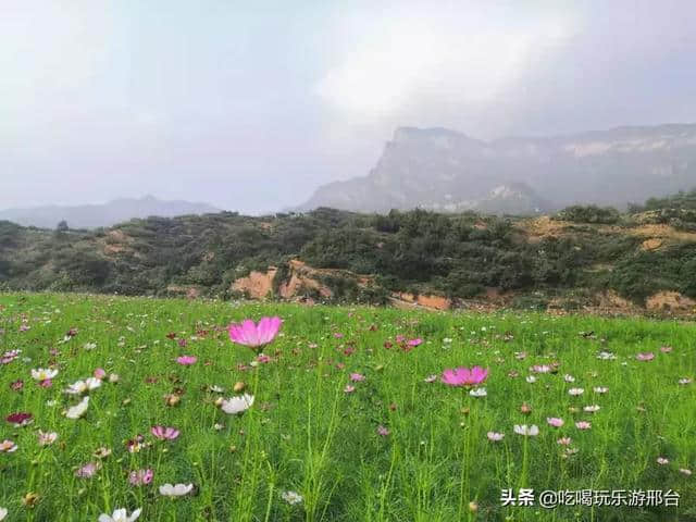 邢台旅游攻略丨抱香谷才是四海八荒真正的梯田花海秘境