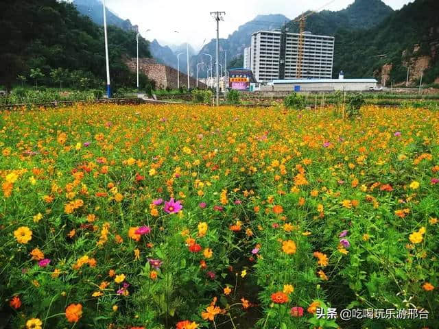 邢台旅游攻略丨抱香谷才是四海八荒真正的梯田花海秘境